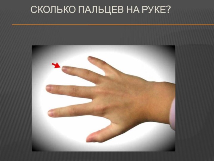 Сколько пальцев на руке?