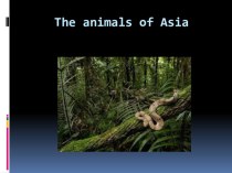 Animals of Asia (5 класс)