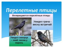 Презентация по экологии Перелетные птицы