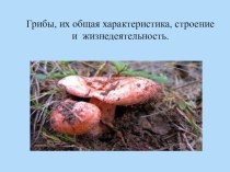 Презентация по биологии на тему Общая характеристика грибов
