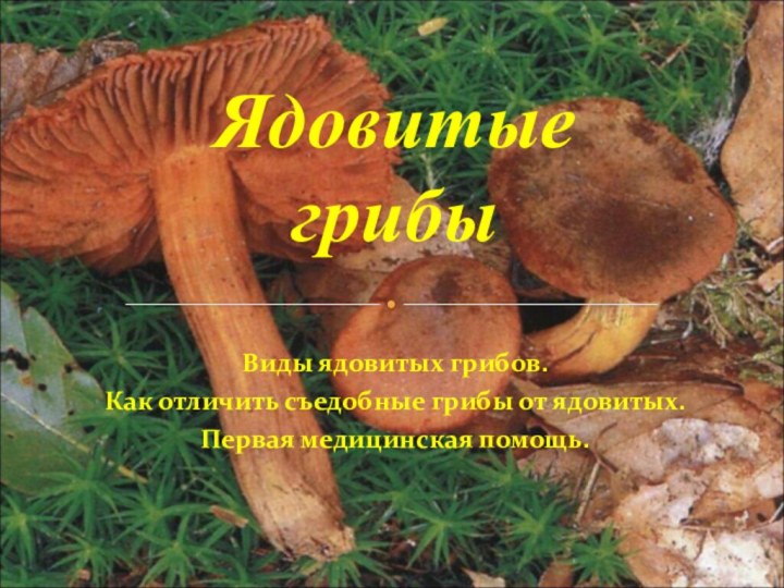 Виды ядовитых грибов.Как отличить съедобные грибы от ядовитых.Первая медицинская помощь.Ядовитые грибы