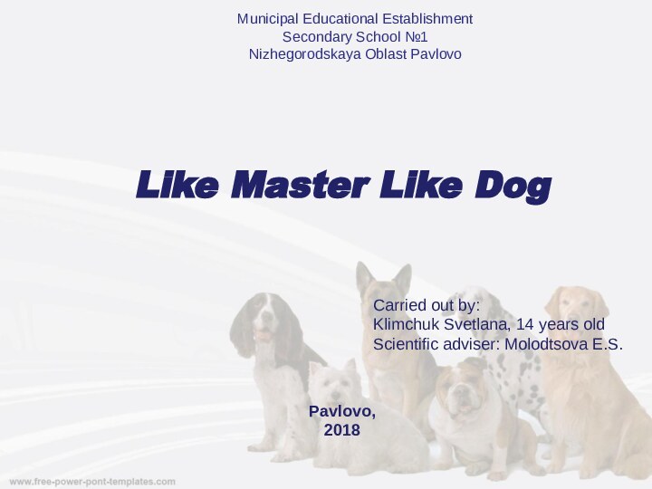 Like Master Like DogPavlovo, 2018Municipal Educational Establishment Secondary School №1Nizhegorodskaya Oblast Pavlovo