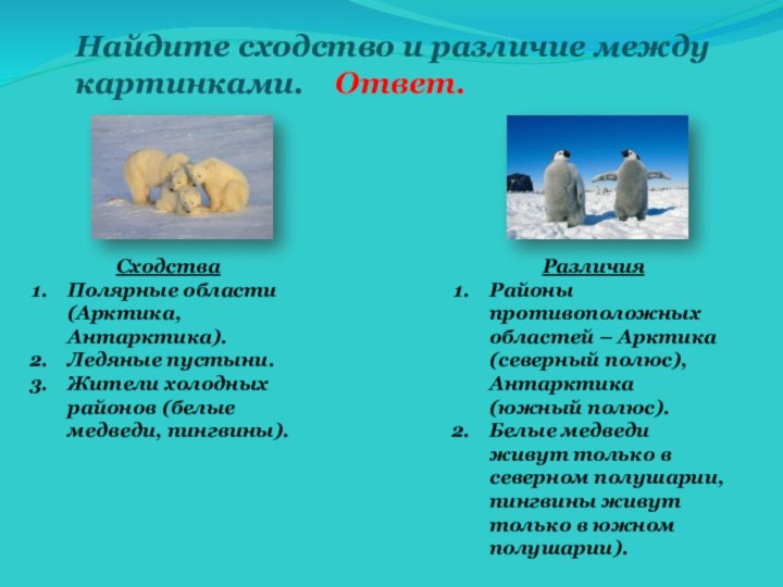 Найдите сходство и различие между картинками.  Ответ.СходстваПолярные области (Арктика, Антарктика).Ледяные пустыни.Жители