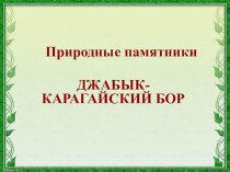 Презентация по географии Памятники природы Челябинской области (8 класс)
