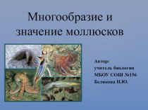 Презентация по биологии Многообразие и значение моллюсков
