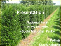 Презентация о Национальном парке (Сочи) на английском языке