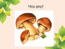 Презентация Поэтапное рисование грибов