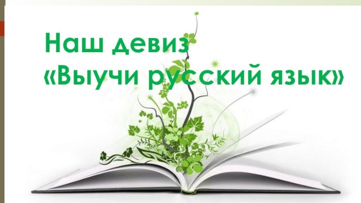 НАШ ДЕВИЗ:  «ВЫУЧИ РУССКИЙ ЯЗЫК!»Наш девиз«Выучи русский язык»
