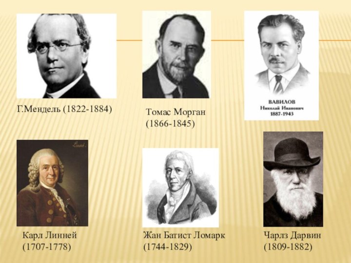 Г.Мендель (1822-1884)Tомас Морган (1866-1845)Карл Линней (1707-1778)Жан Батист Ломарк (1744-1829)Чарлз Дарвин (1809-1882)