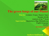 Презентация к ученическому проекту Леса - зеленые легкие нашей планеты на английском языке (6 класс)