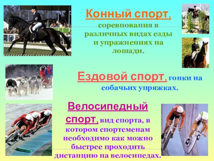 Конный спорт, соревнования в различных видах езды и упражнениях на лошади.Ездовой спорт,