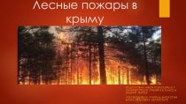Лесные пожары в Крыму