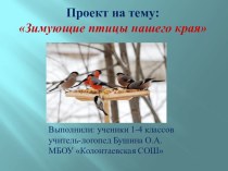 Проект на тему: Зимующие птицы нашего края