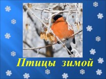 Презентация по окружающему миру Берегите птиц зимой !