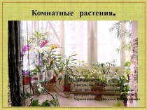 Презентация по природоведению на тему Комнатные растения (школа для обучающихся с ОВЗ, 5класс))