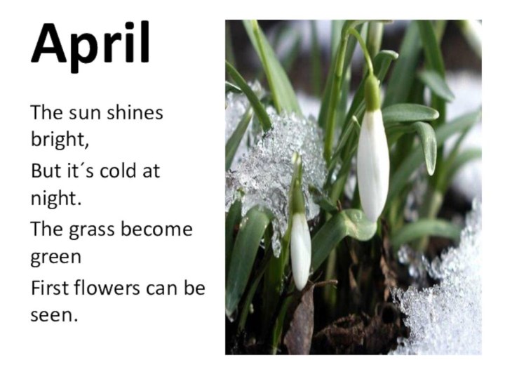 AprilThe sun shines bright,But it´s cold at night.The grass become greenFirst flowers can be seen.