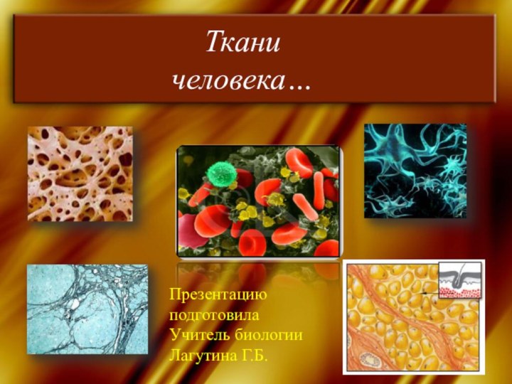 Ткани  человека…Презентацию подготовилаУчитель биологии Лагутина Г.Б.
