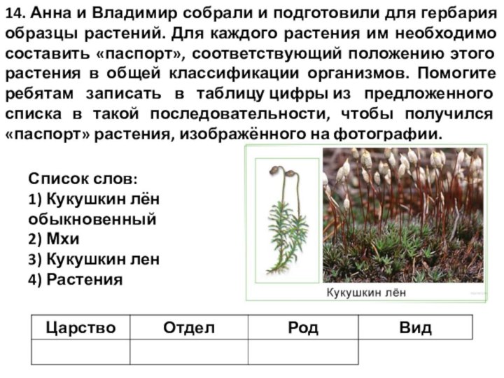 14. Анна и Владимир собрали и подготовили для гербария образцы растений. Для каждого