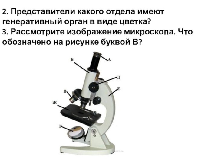 2. Представители какого отдела имеют генеративный орган в виде цветка?3. Рассмотрите изображение микроскопа.