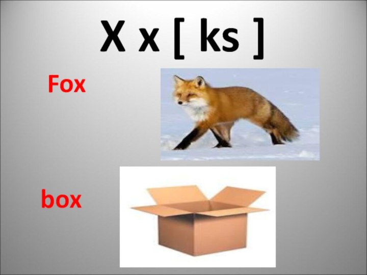 X x [ ks ]  Fox  box
