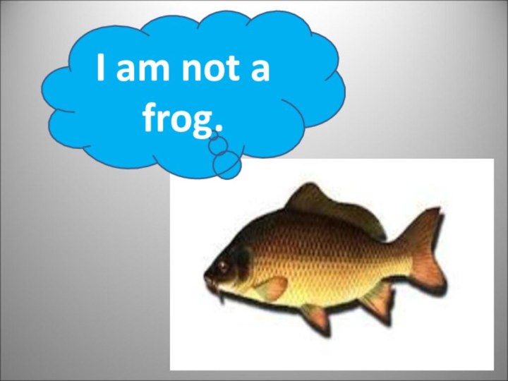 I am not a frog.