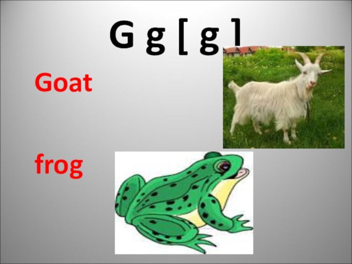G g [ g ] Goat frog