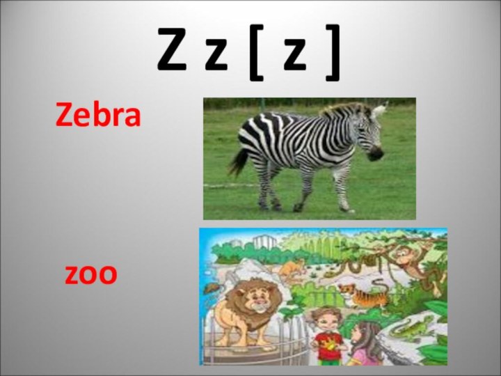 Z z [ z ] Zebra zoo