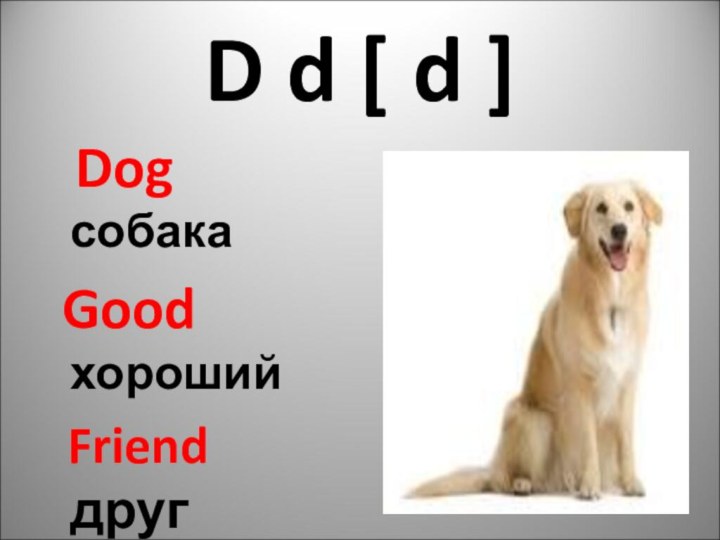 D d [ d ]  Dog собака  Good хороший Friend друг