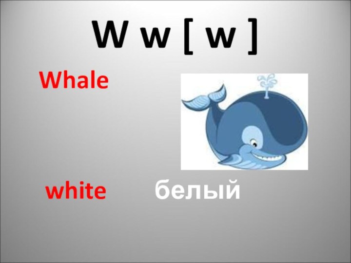 W w [ w ] Whale white  белый