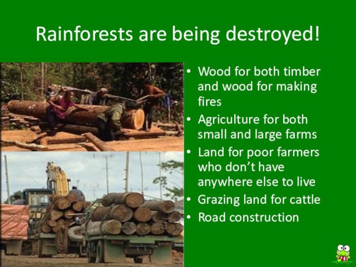Rainforests are being destroyed!Wood for both timber and wood for making firesAgriculture