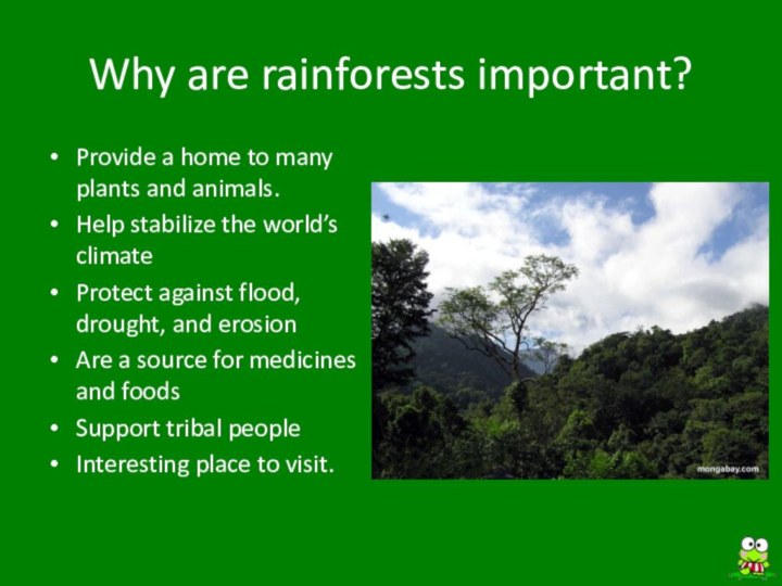 Why are rainforests important?Provide a home to many plants and animals.Help stabilize