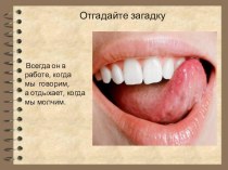 Презентация по русскому языку Язык