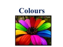 Презентация по английскому языку по теме Colours (2 класс)