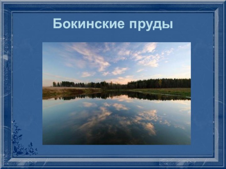 Бокинские пруды