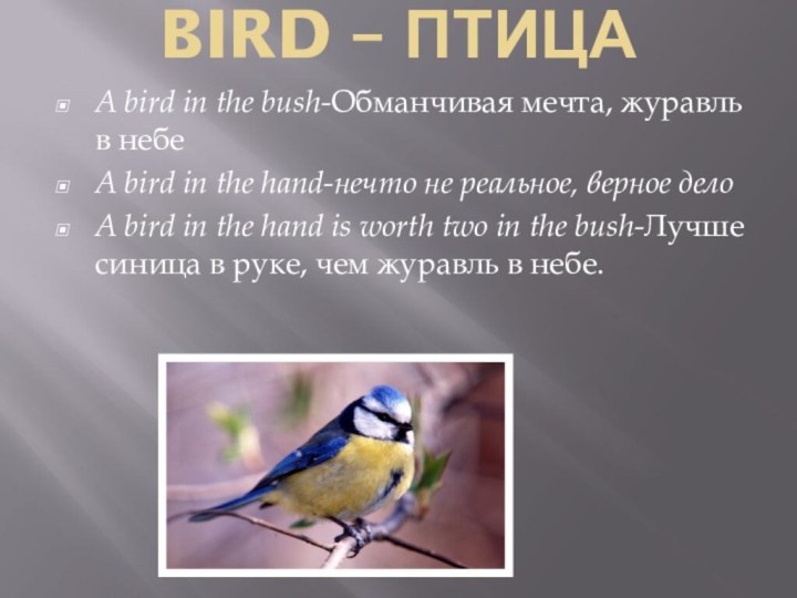 BIRD – ПТИЦА A bird in the bush-Обманчивая мечта, журавль в небеA