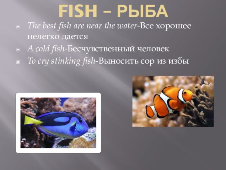 FISH – РЫБА The best fish are near the water-Все хорошее