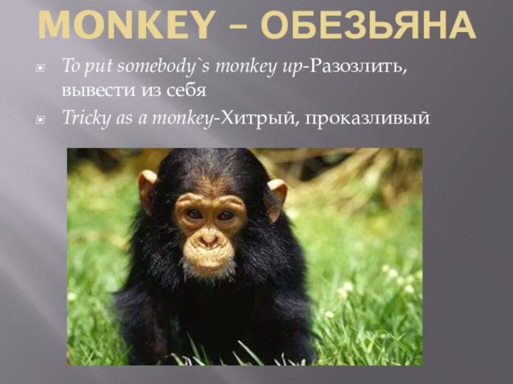 MONKEY – ОБЕЗЬЯНА To put somebody`s monkey up-Разозлить, вывести из себяTricky as a monkey-Хитрый, проказливый