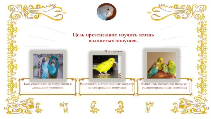 Цель презентации: изучить жизнь волнистых попугаев.  Задачи:Как ухаживать