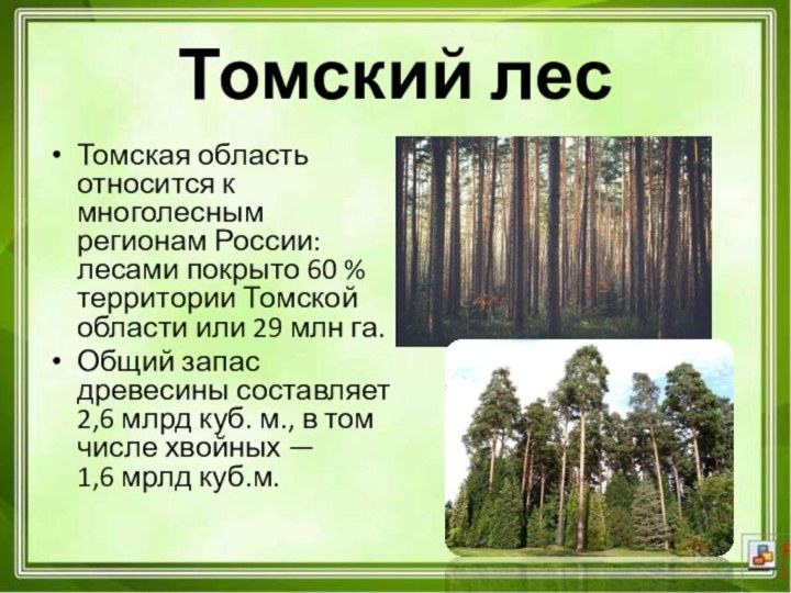 Томская область относится к многолесным регионам России: лесами покрыто 60 % территории