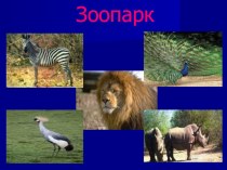 Презентация к занятию по окружающему миру в подготовительной группе Зоопарк