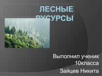 Презентация ученика 10 класса Зайцева Н. по географии Лесные ресурсы.