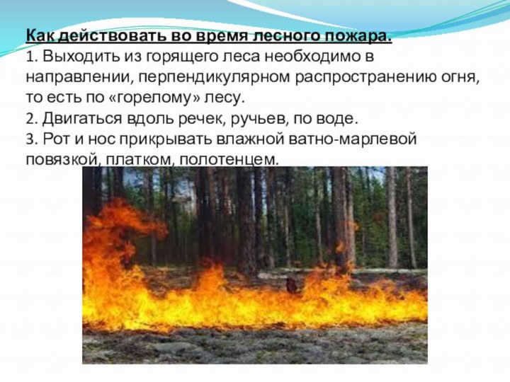 Как действовать во время лесного пожара. 1. Выходить из горящего леса необходимо