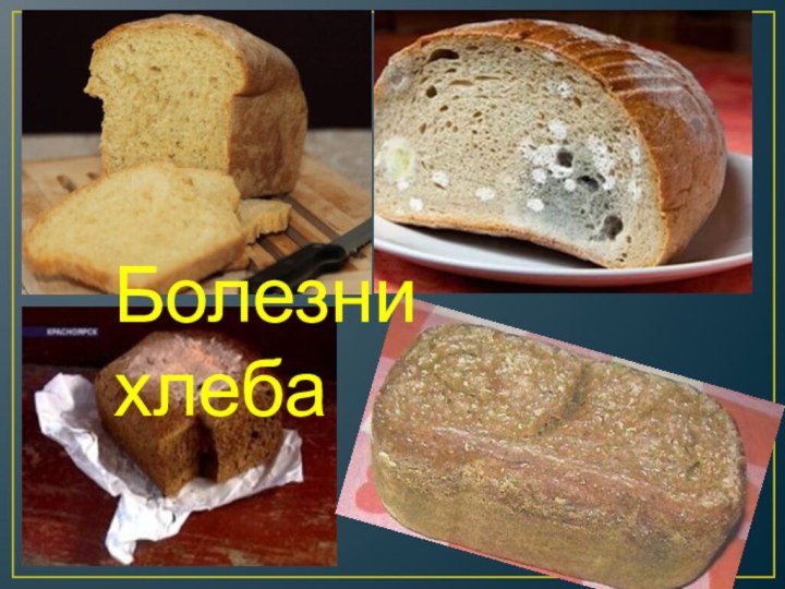 Болезни хлеба