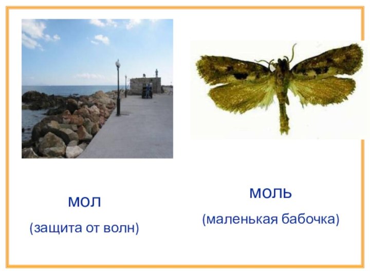 мол(защита от волн)моль(маленькая бабочка)