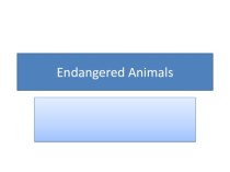 Презентация по английскому языку на тему Endangered animals