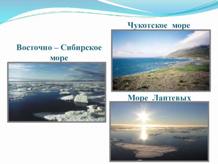 Море ЛаптевыхВосточно – Сибирское мореЧукотское море