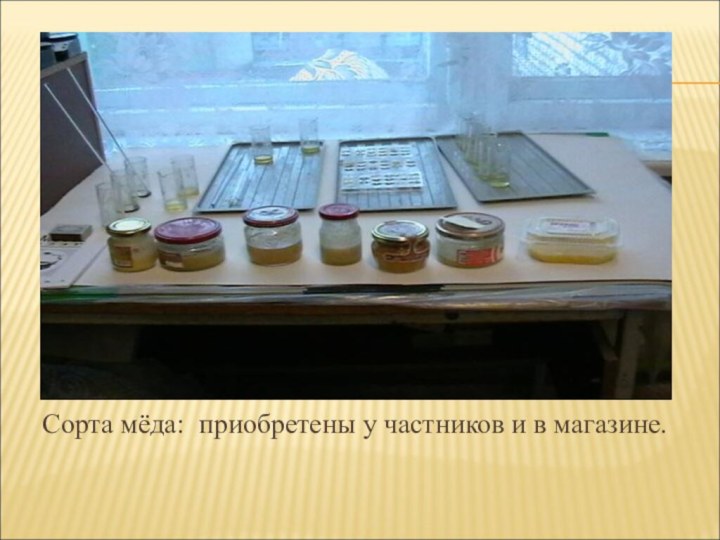 Сорта мёда: приобретены у частников и в магазине.