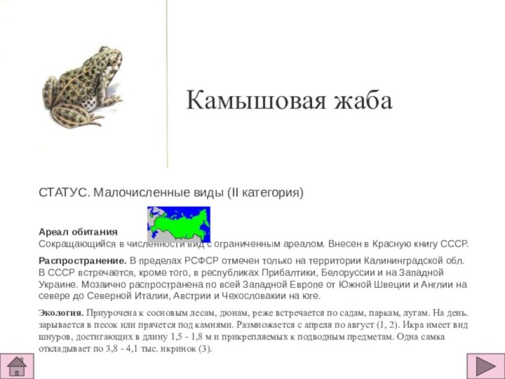 Камышовая жаба СТАТУС. Малочисленные виды (II категория)  Ареал обитания  Сокращающийся в численности