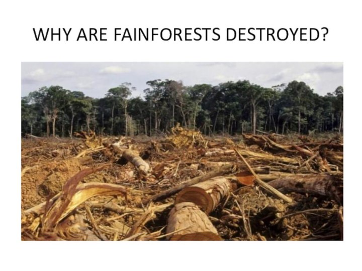 WHY ARE FAINFORESTS DESTROYED?