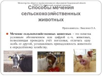 Презентация по животноводству на тему Способы мечения с.-х. животных